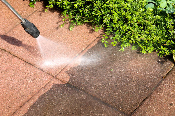 Best Roof Pressure Washing  in Little Chute, WI